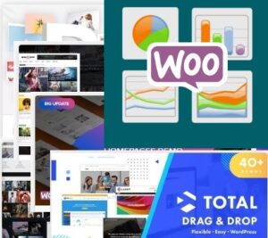 Complete Wordpress Ecommerce web development