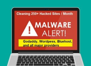 Malware Removal Service: Godaddy and any major hosting provider