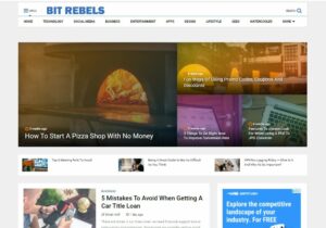 Guest post on BitRebels.com