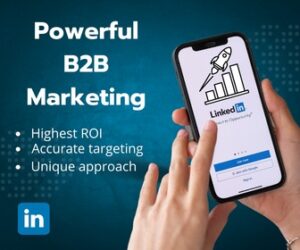 Advanced B2B Lead Generation Campaign