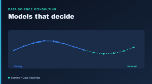 Data science consulting team building forecasting and classification models for a business