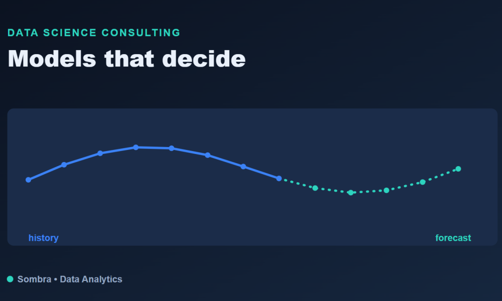 Data science consulting team building forecasting and classification models for a business
